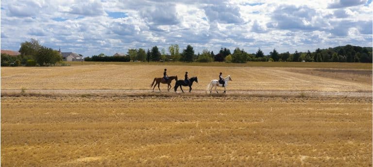 promenade à cheval