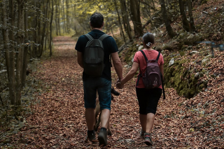 promenade dans les bois