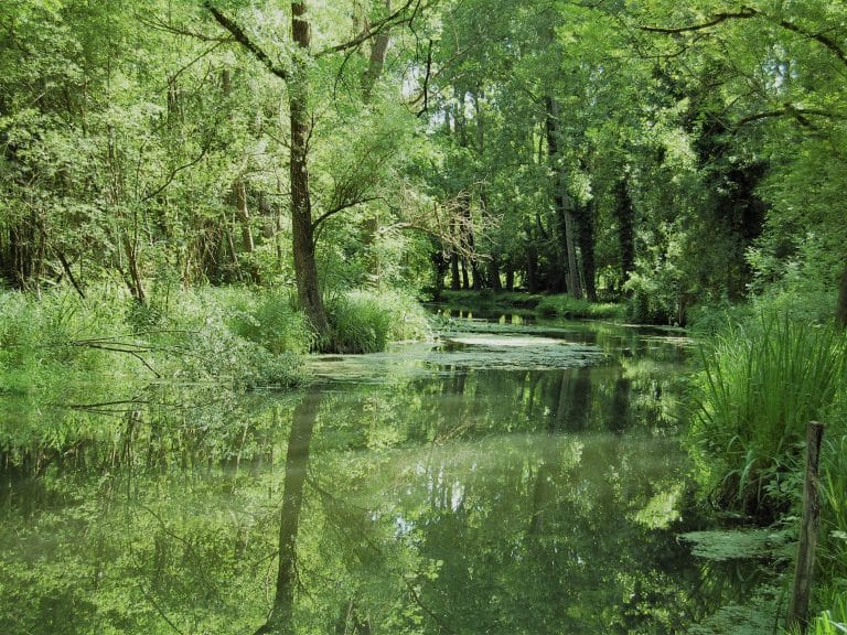 vallée de l'essonne