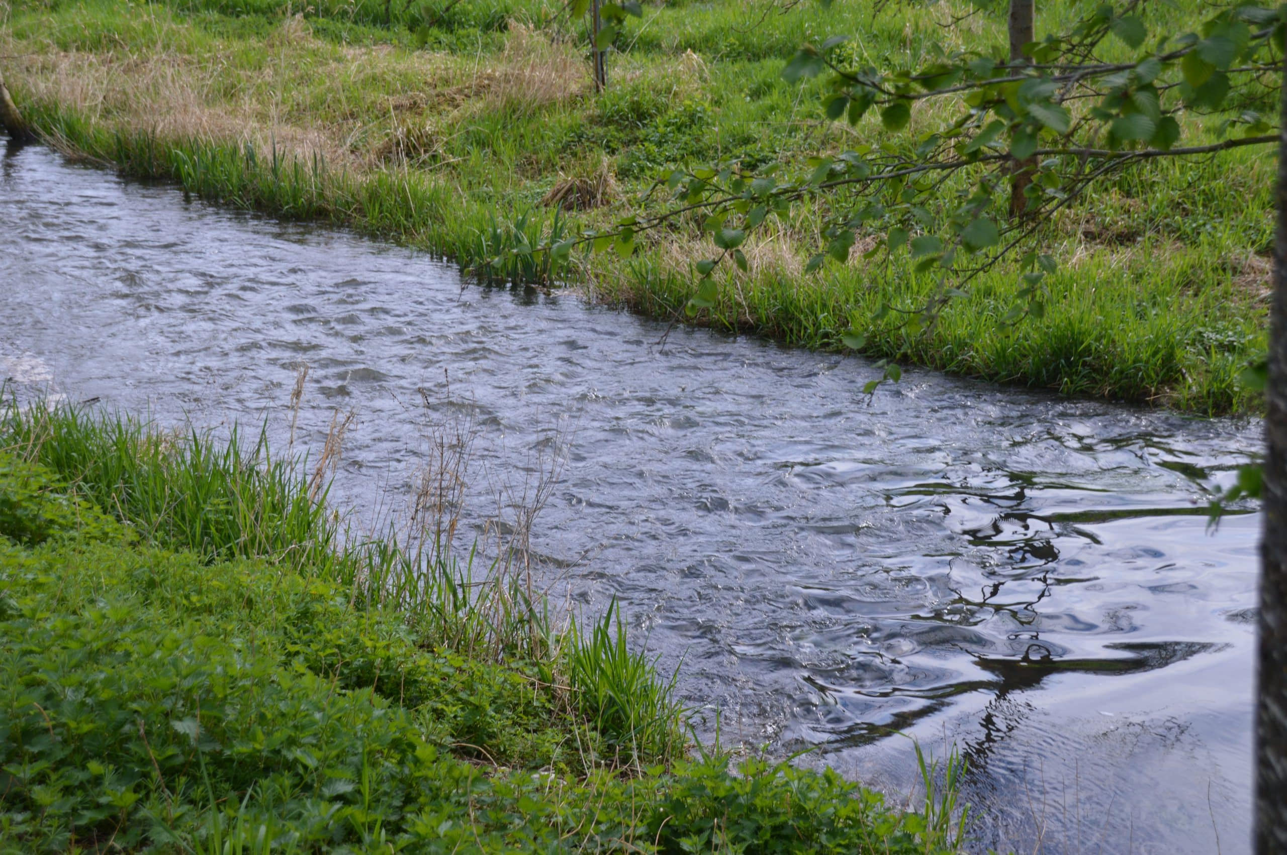 rivière