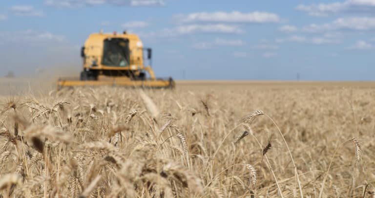 Moissonneuse campagne Beauce