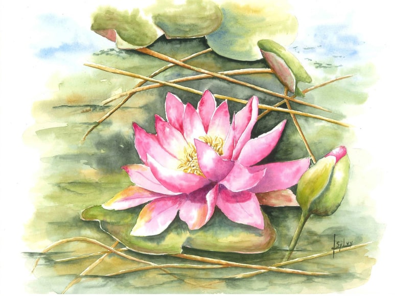 2