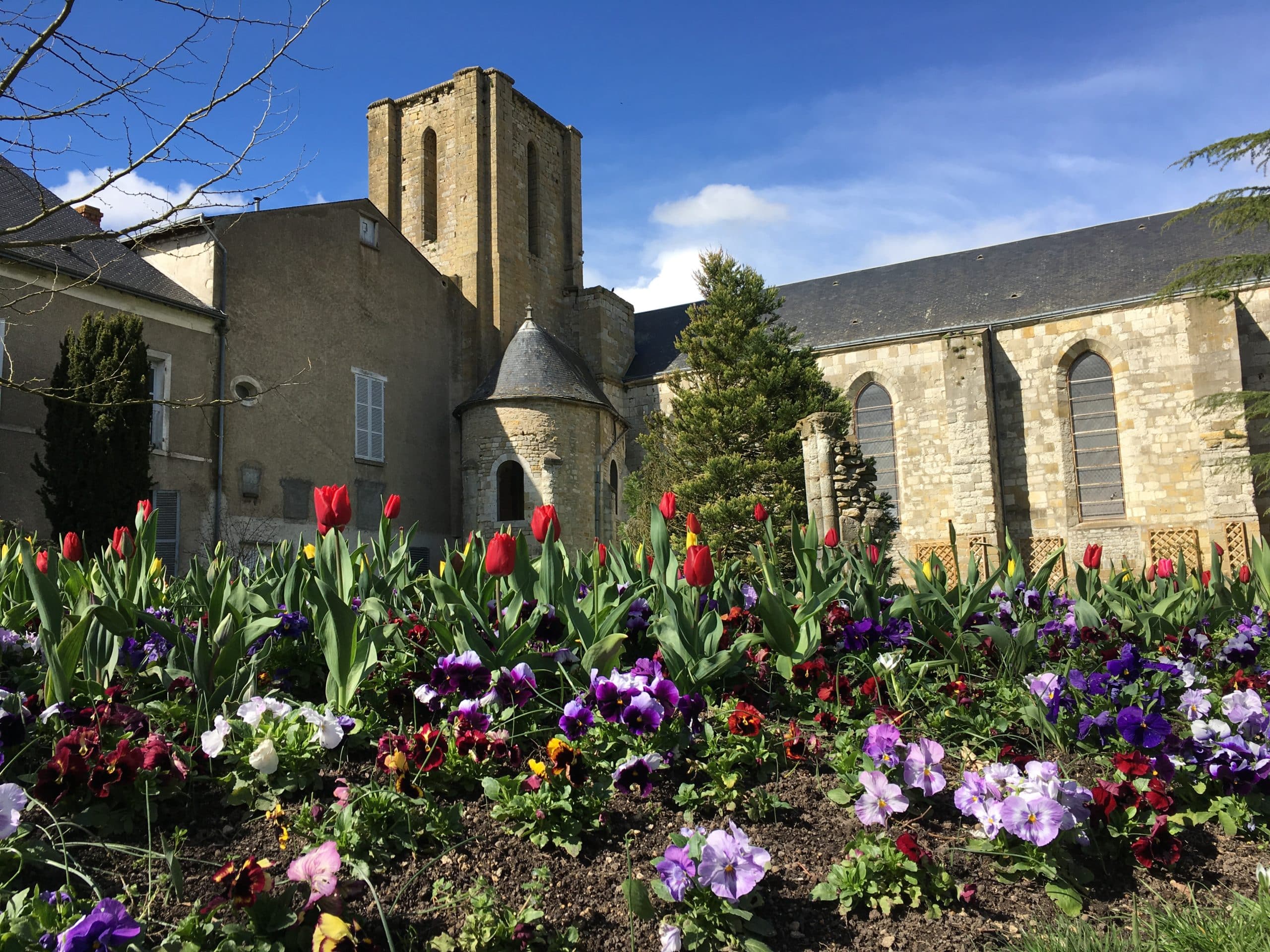 Pithiviers collégiale