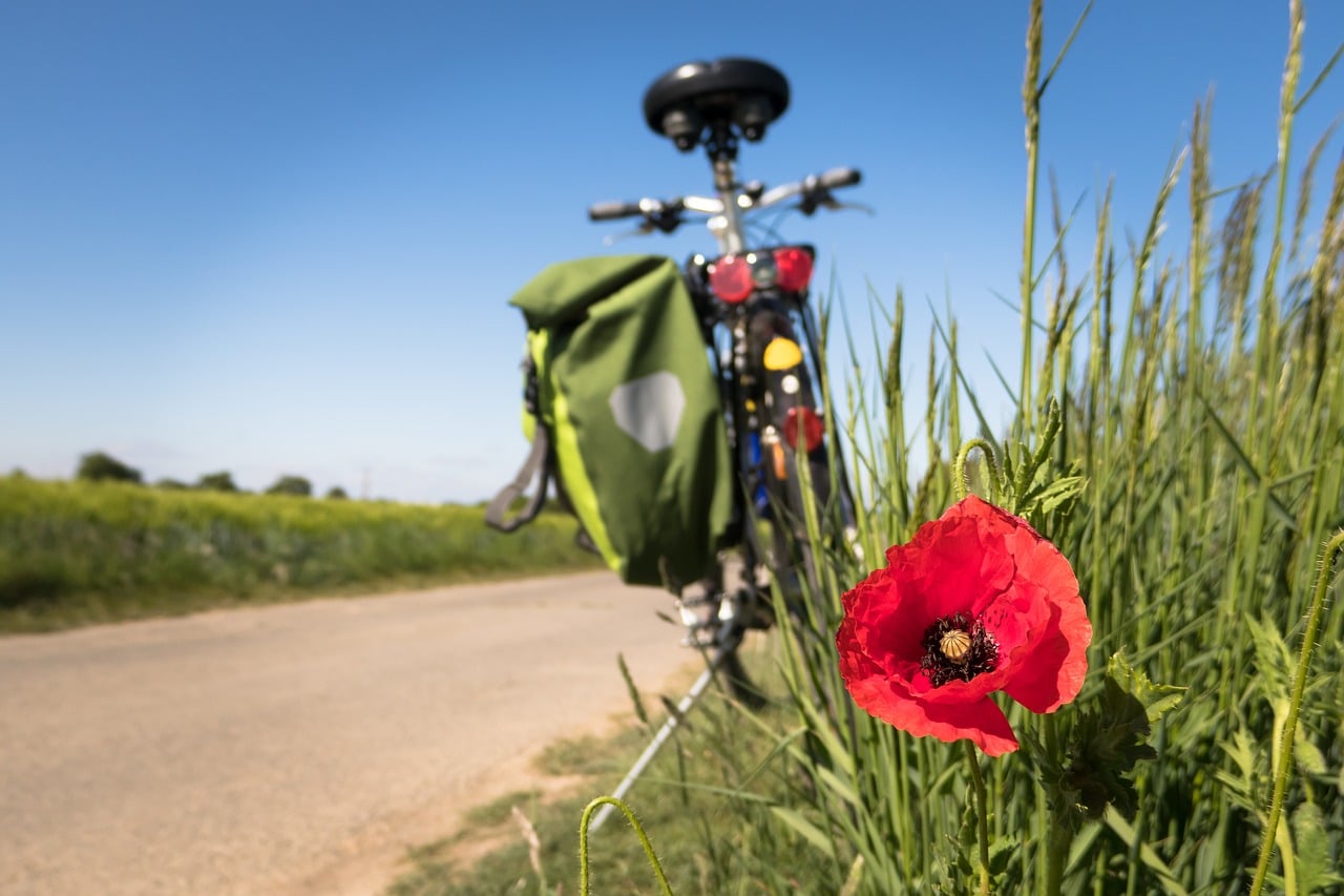 vélo dans les champs
