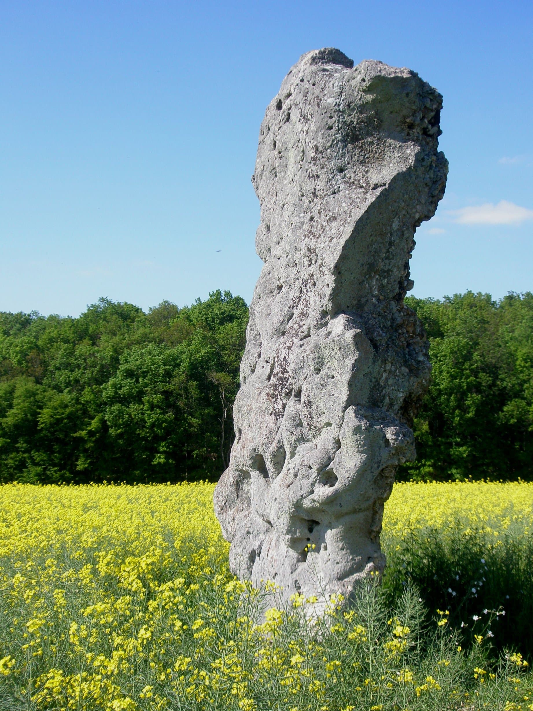 menhir dans un champs de colza