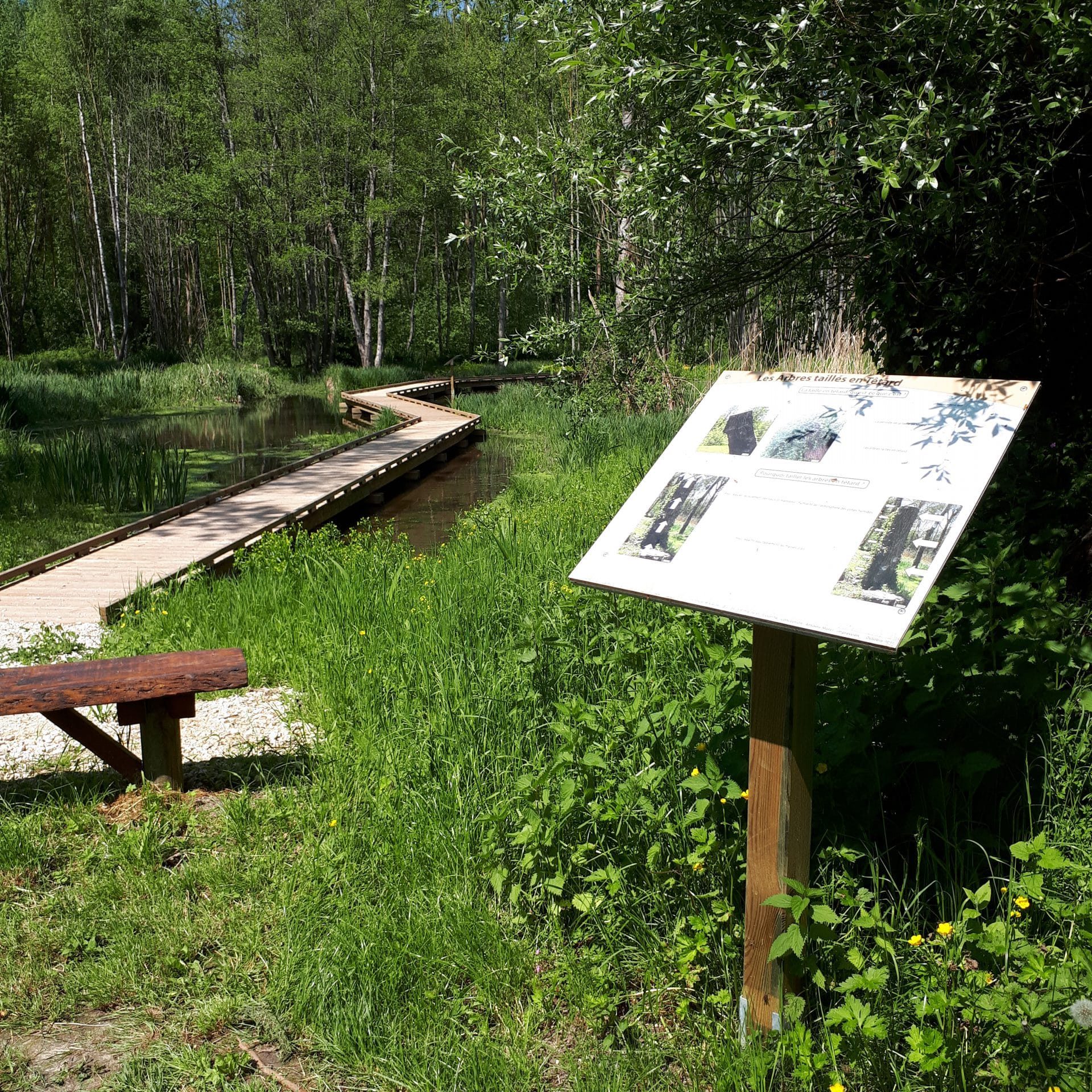 marais du moulin de la porte