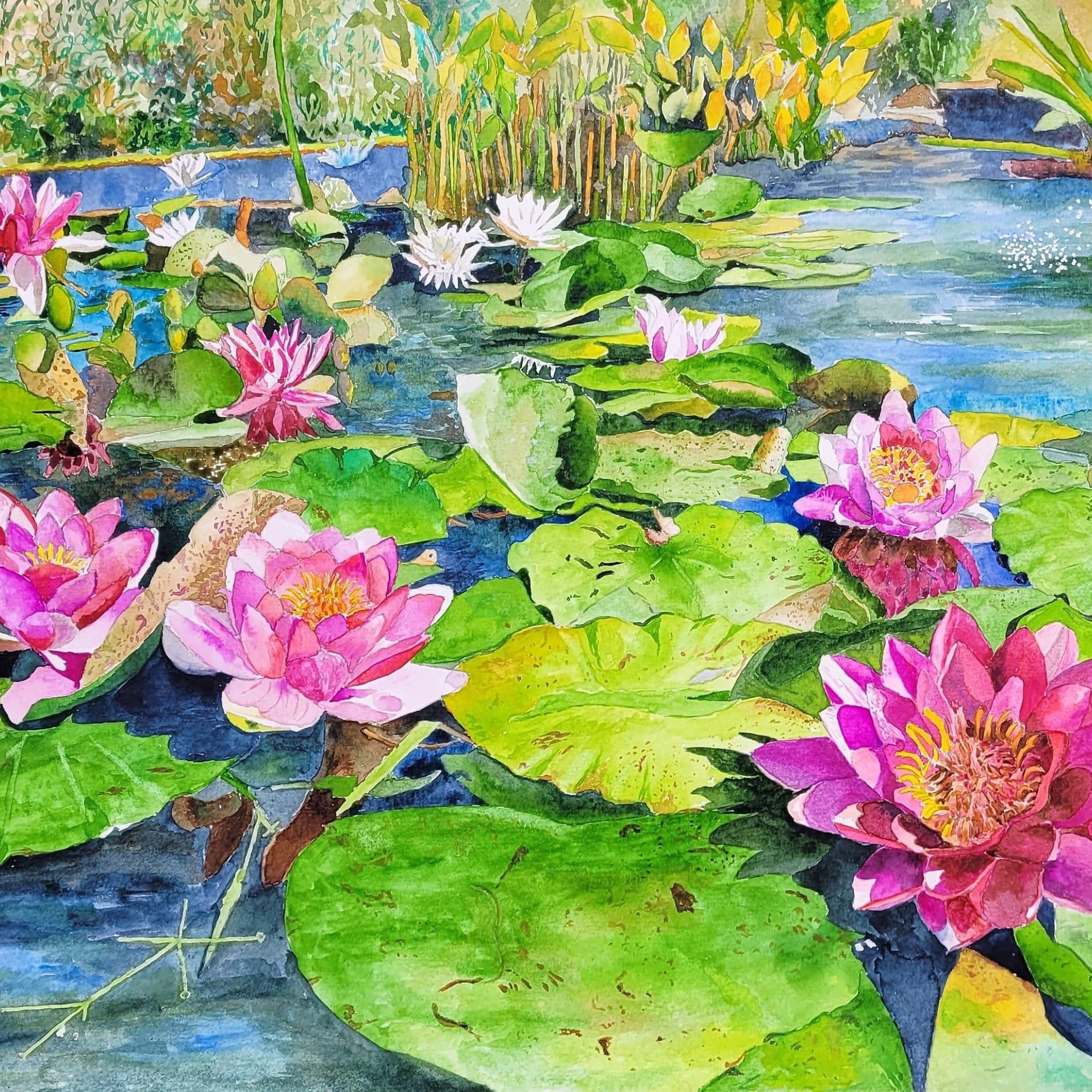 peinture nénuphar