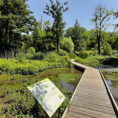 marais du moulin de la porte