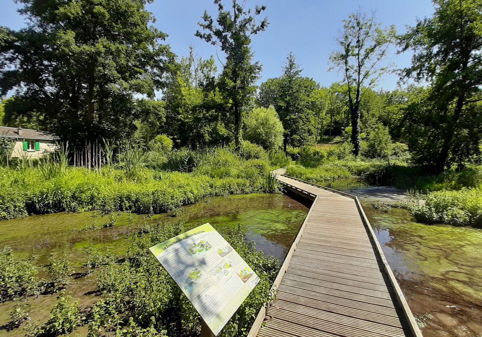 marais du moulin de la porte