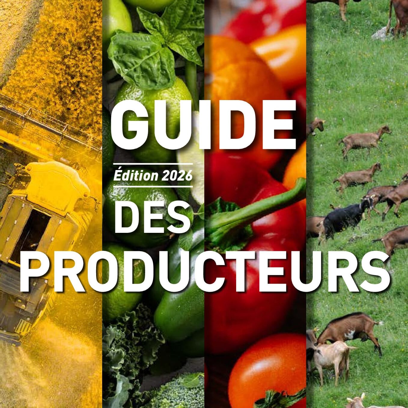 COUV GUIDE DES PRODUCTEURS 2026 (pdf.io)