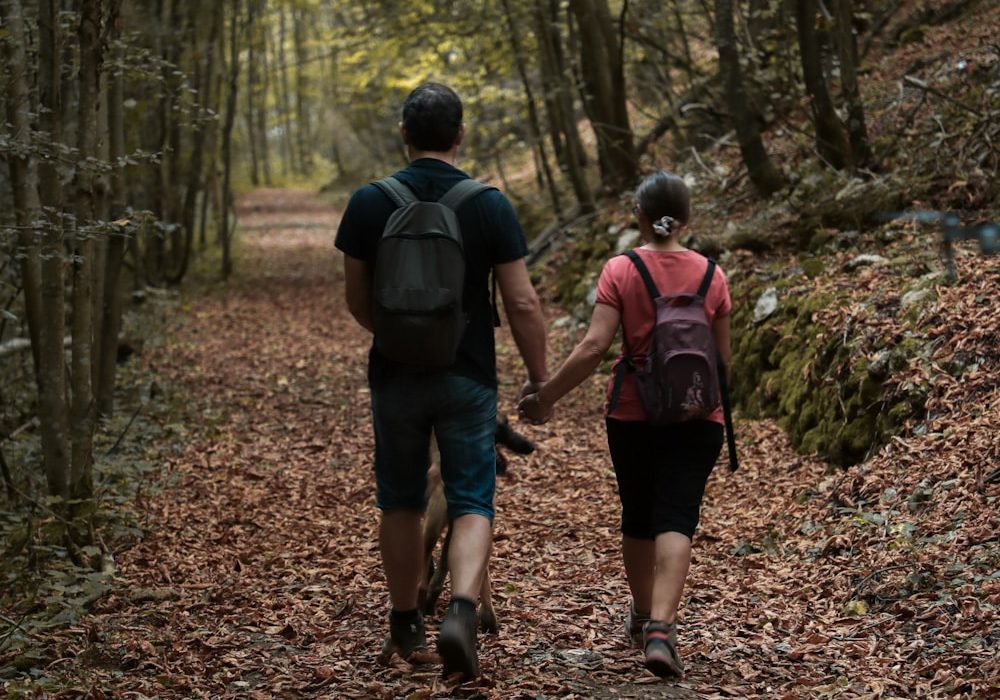 promeneurs en foret