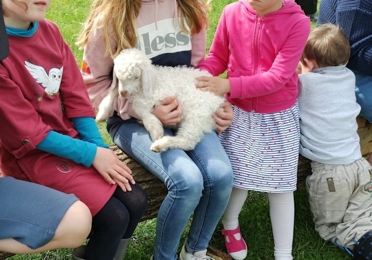 enfants avec un chevreau