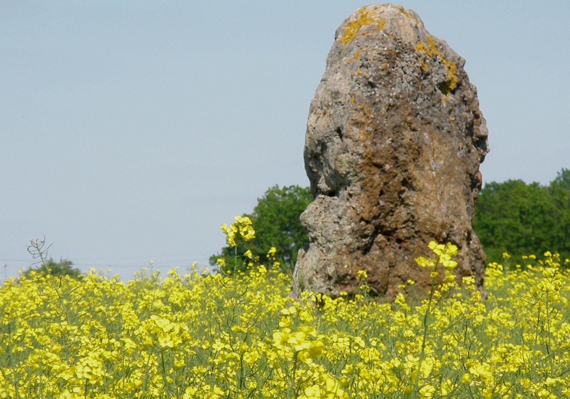 photo menhir