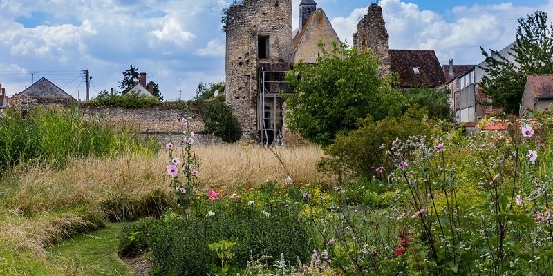 grand jardin des minuits