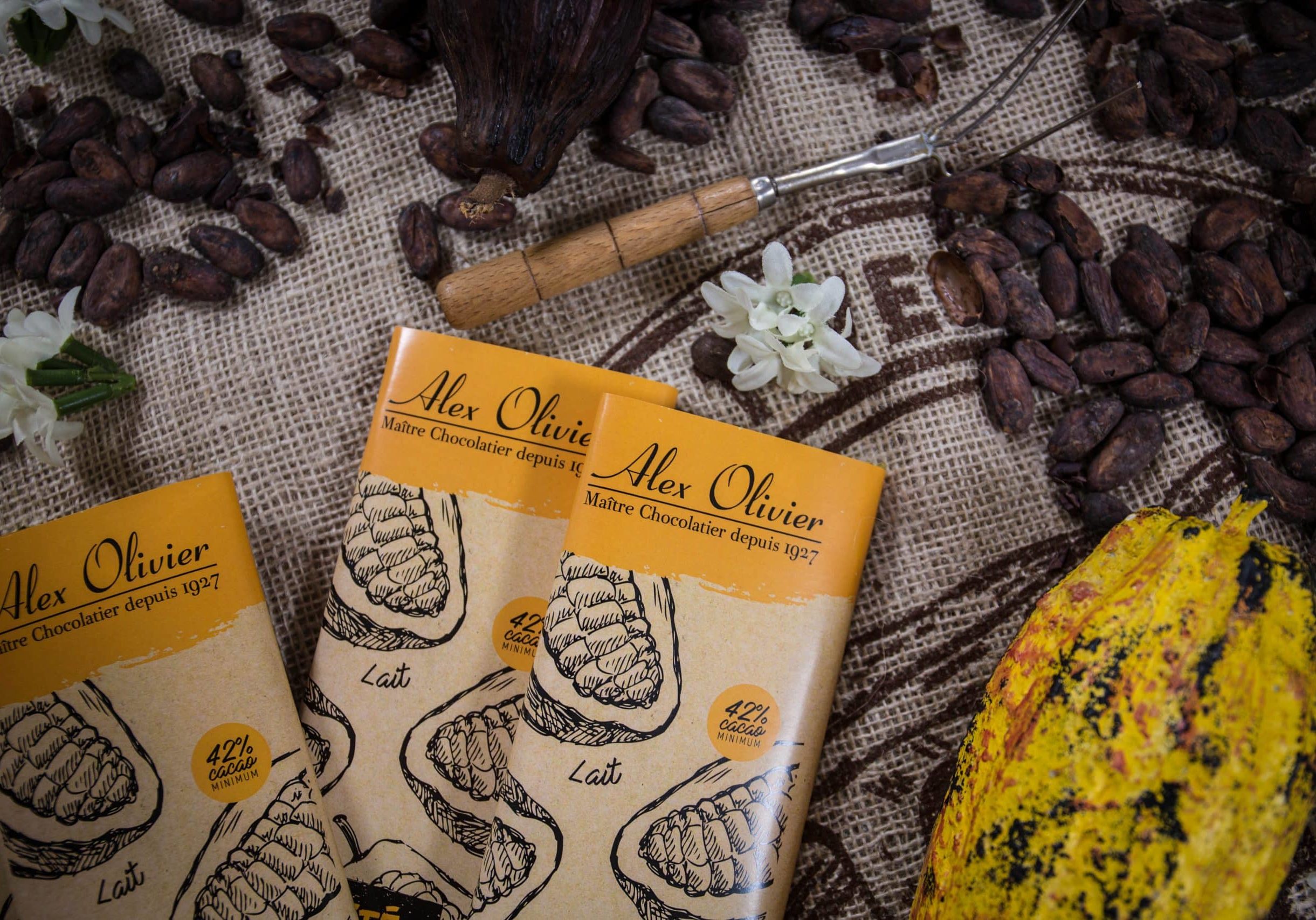 chocolaterie_alex_olivier_a.rue_adrt45-7370-1 (1)
