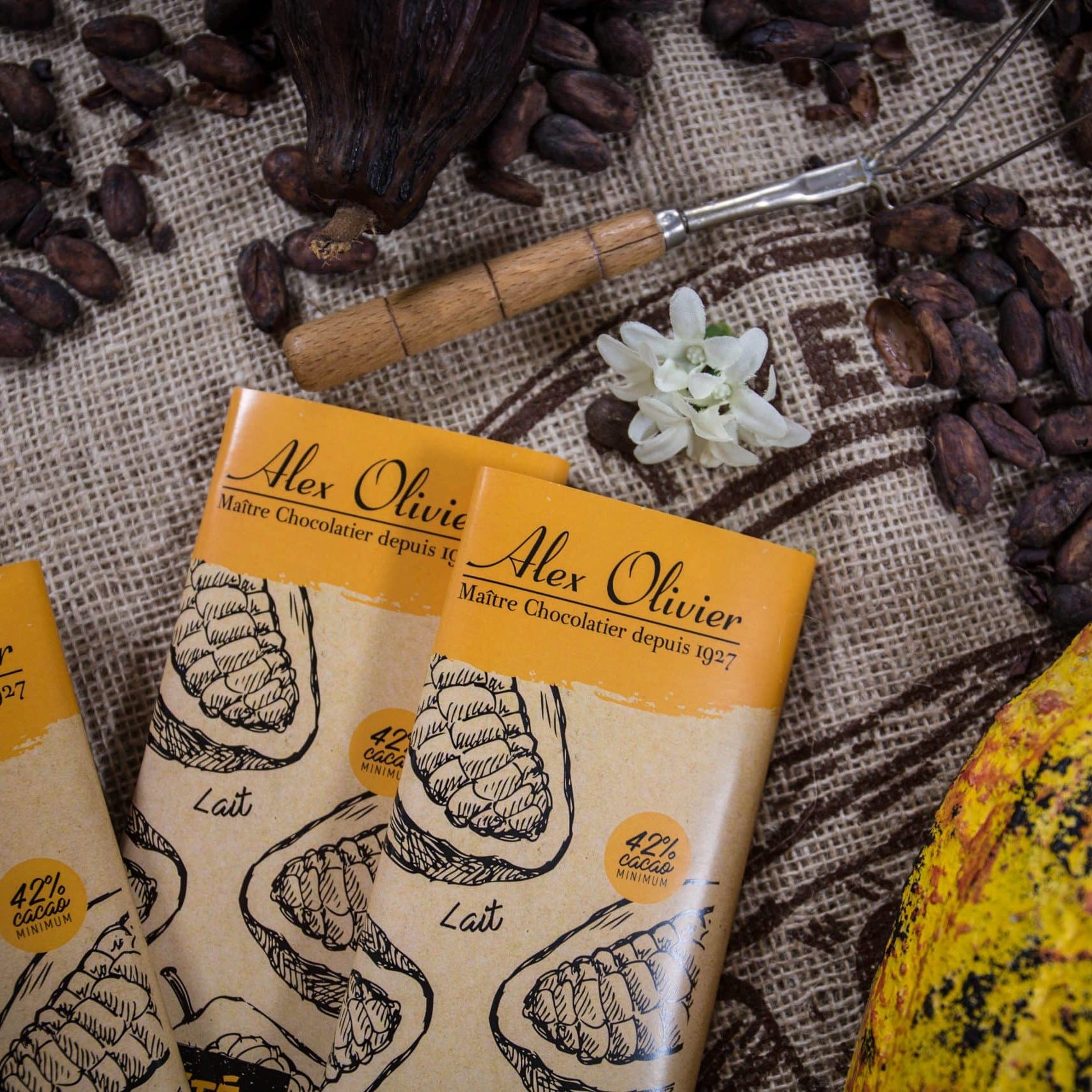 chocolaterie_alex_olivier_a.rue_adrt45-7370-1 (1)