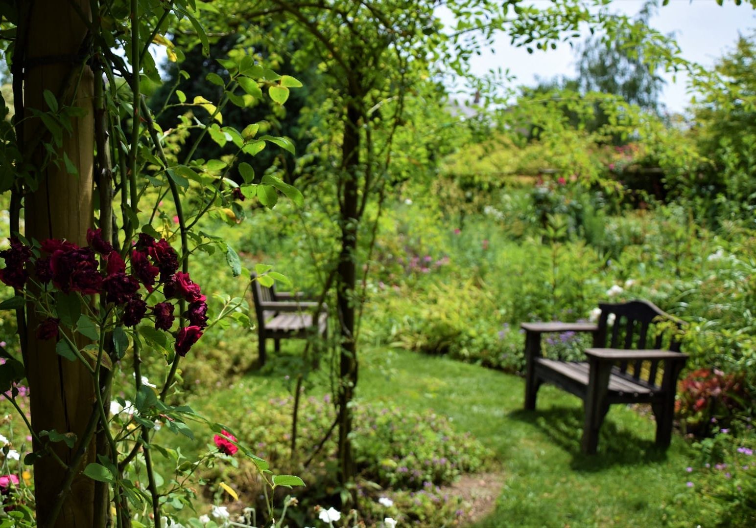 jardin personnel andre eve