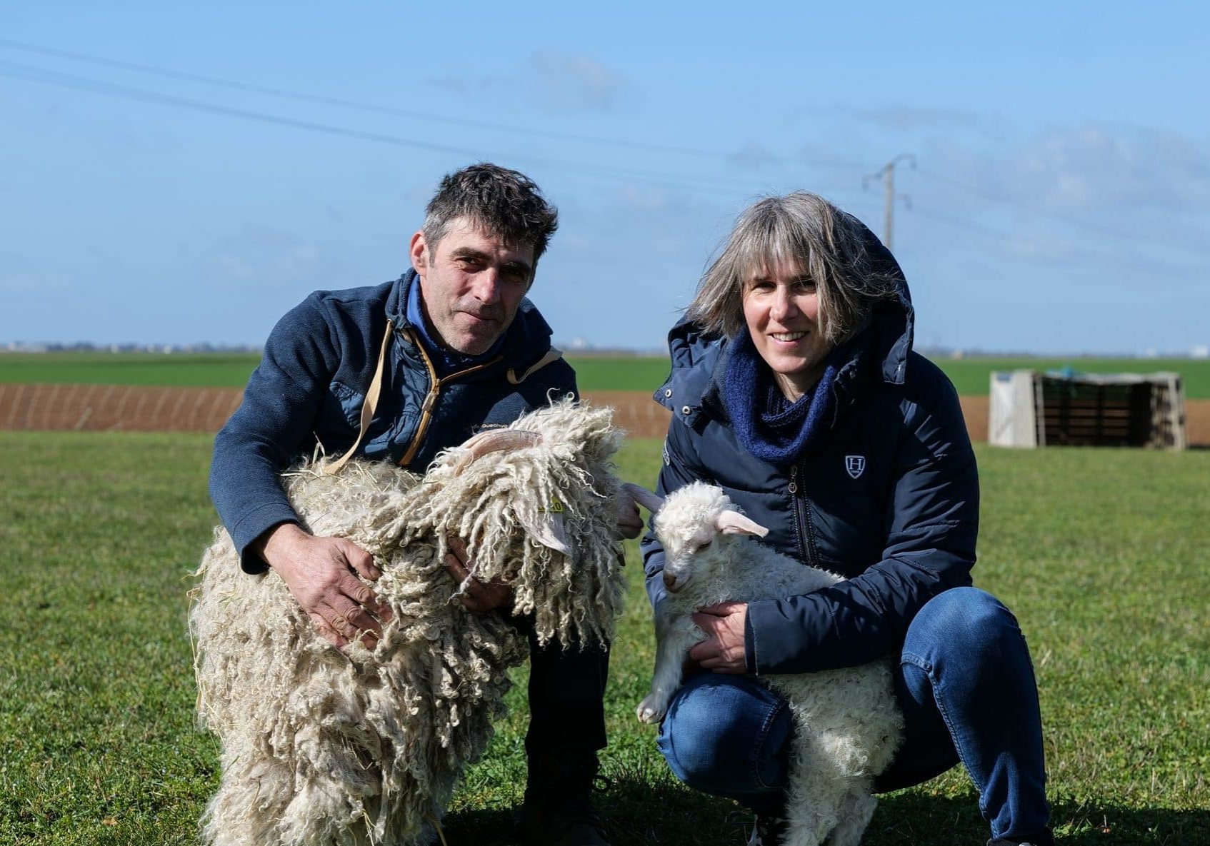 mohair de sophie