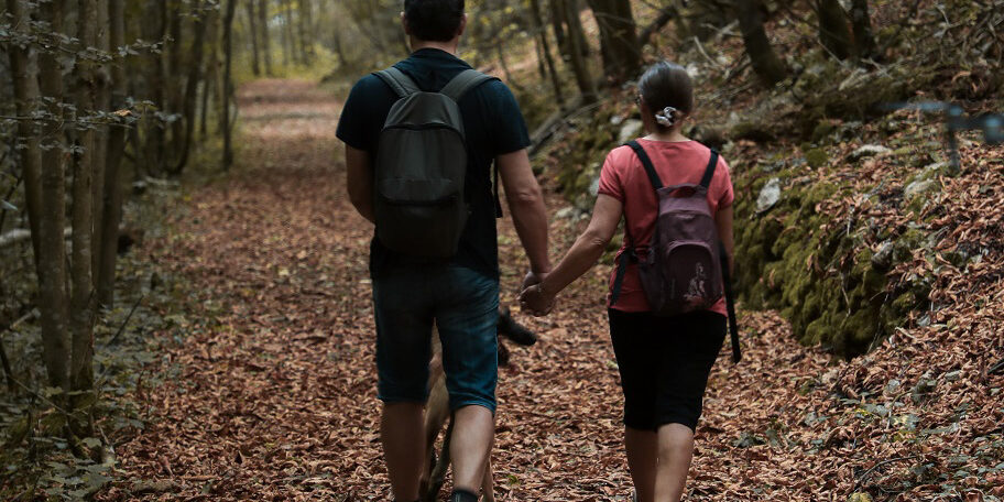 promenade dans les bois