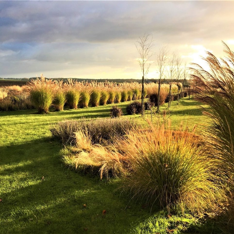 jardin de la plaine