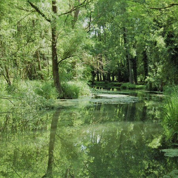 vallée de l'essonne