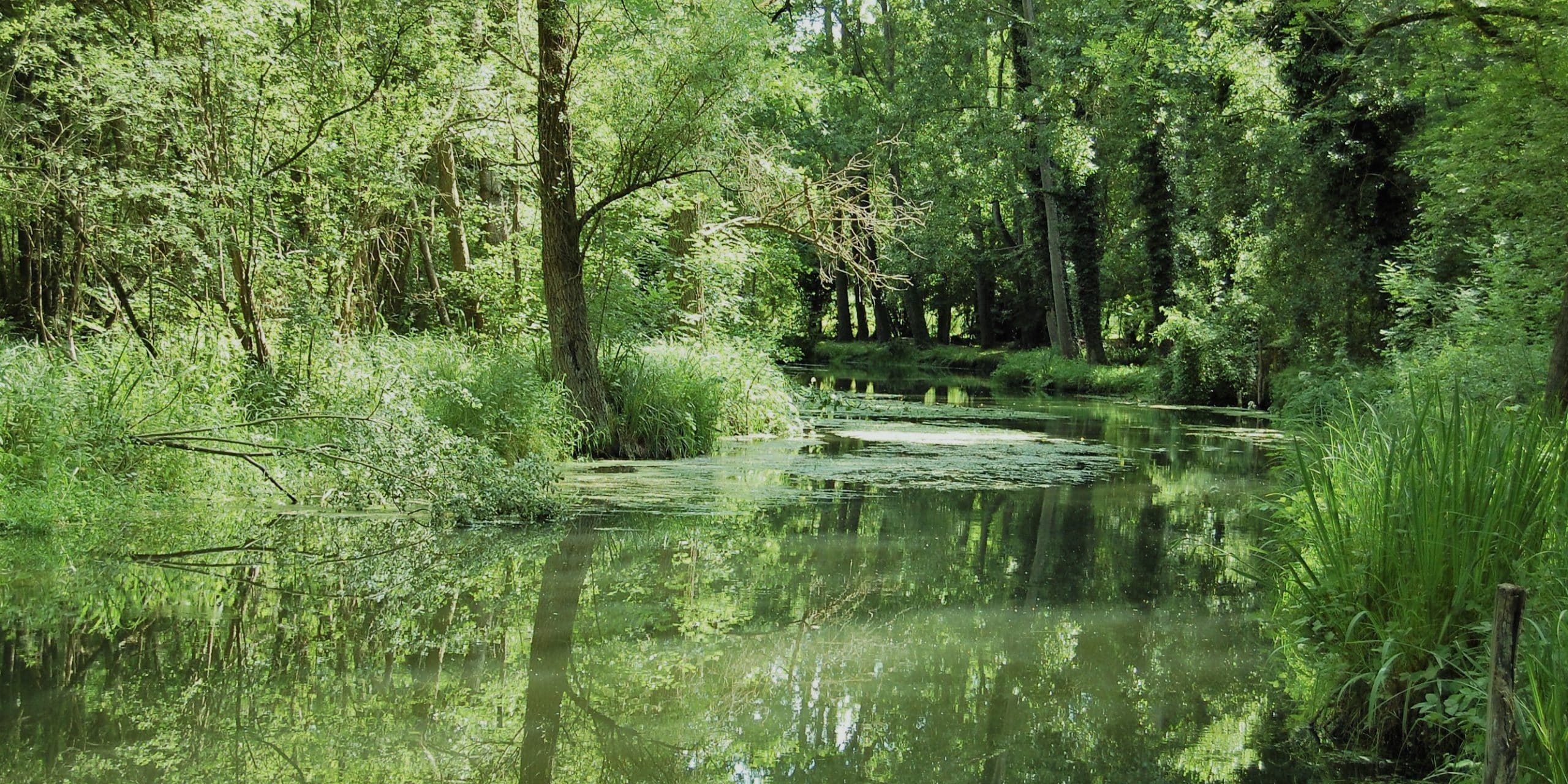 vallée de l'essonne