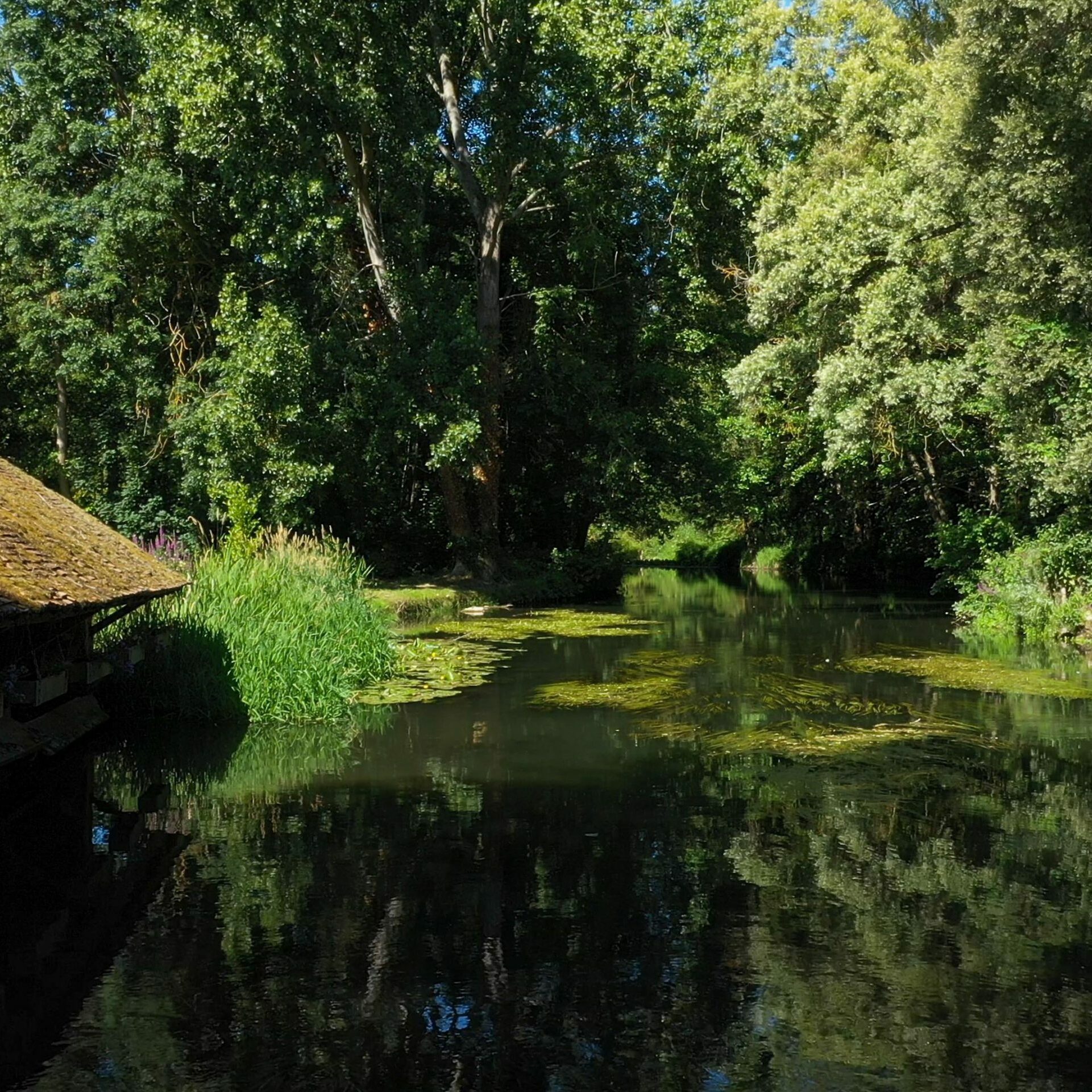 vallée de l'essonne